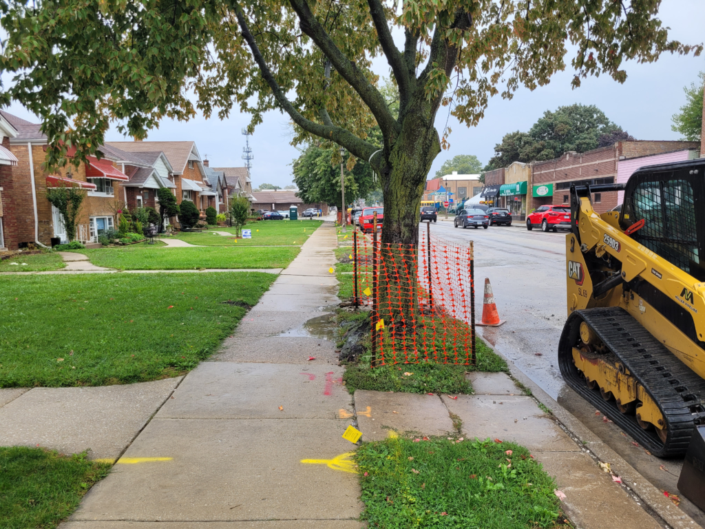 Orange tree protection fencing and yellow sidewalk markings beside construction equipment along 16th Street.
